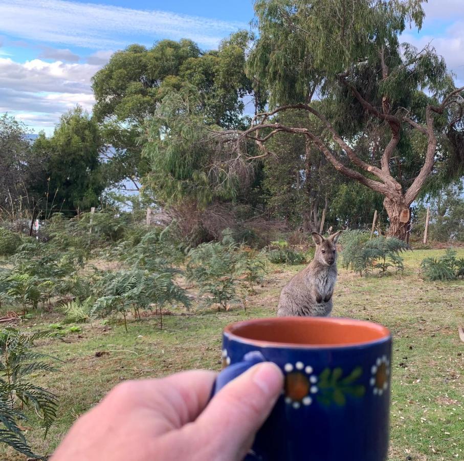 Wylah Cottage For A Peaceful Bruny Island Escape With Water Views, Fireplace & Wallabies Simpsons Bay المظهر الخارجي الصورة